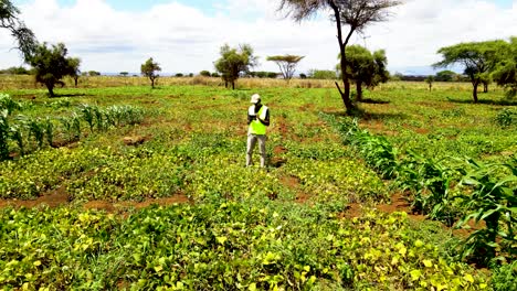 rural agricultural farms in kenya