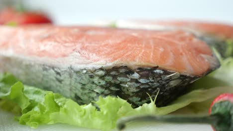 raw salmon fillet with vegetables