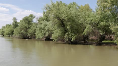 reserva natural delta del río danubio