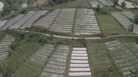 Luftaufnahme,-Jeep-Tour-Durch-Berge-In-Gemüsefeldern-In-Tawangmangu,-Indonesien