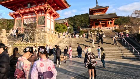 groups of people exploring a traditional japanese shrine