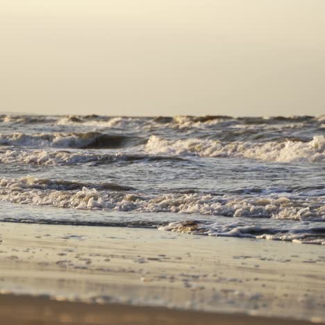 Wave drops at the beach