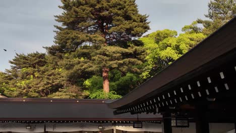 temple pagoda roof meiji shrine tokyo japan landmark sacred space asia