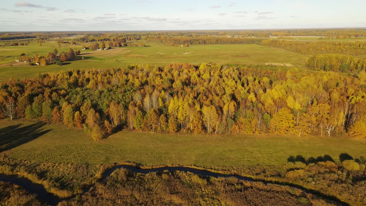 도로가 있는 숲의 전경