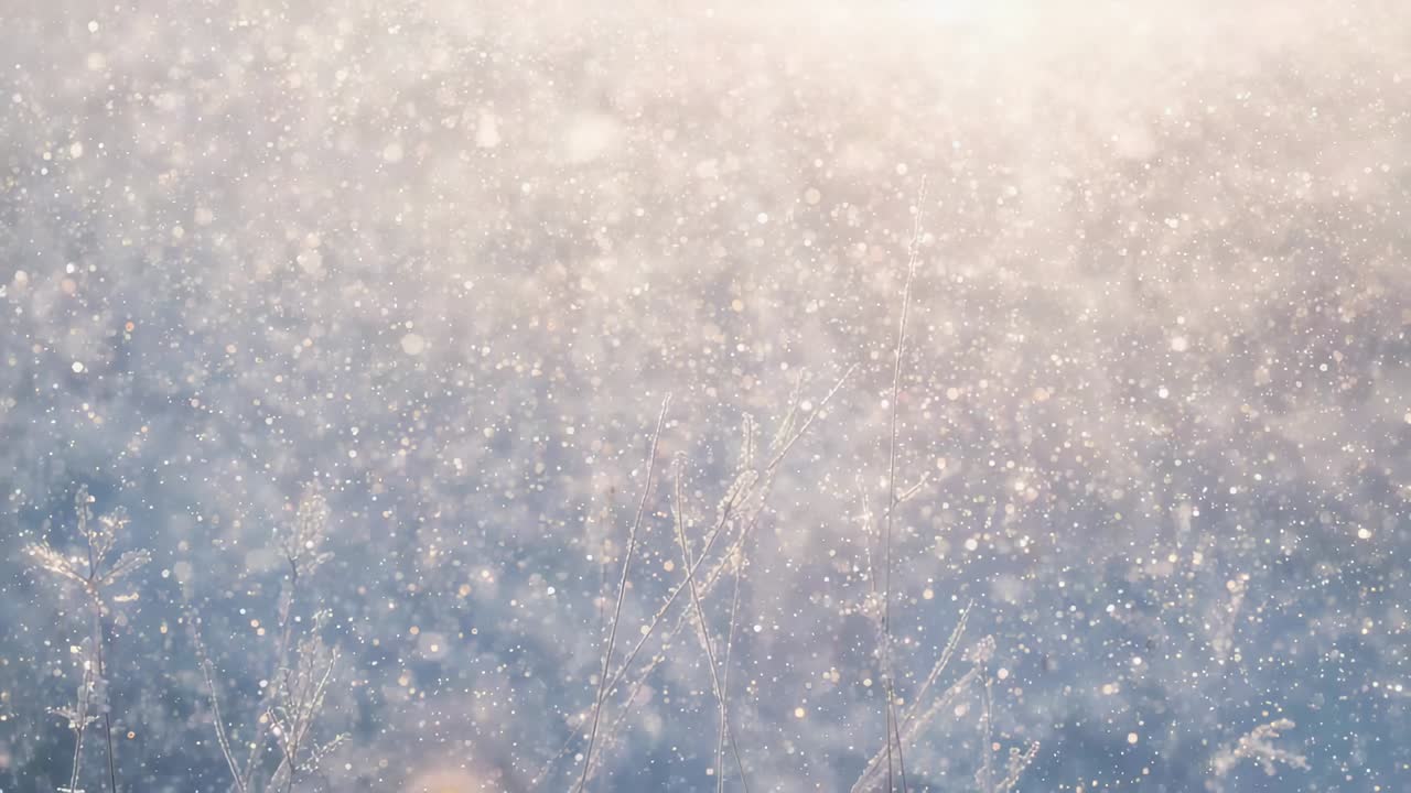 Starting gentle flurry, falling snowflakes and frost-covered grasses softening snowy field, backlit