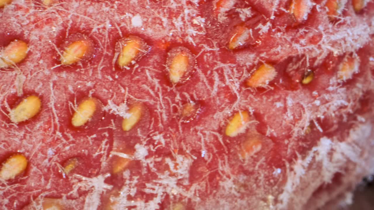 신선한 냉동 딸기, 360도 회전, 클로즈업