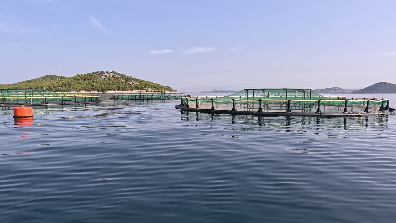 Fish farm in the Adriatic Sea near small Island, cages for growing fish at sea