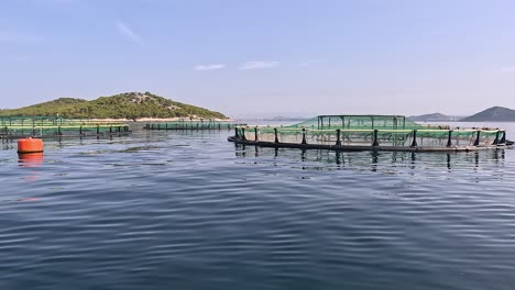 fish farm in the adriatic sea near small island, cages for growing fish at sea