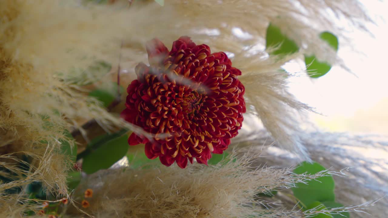 Artistic close-up shot of a red flower surrounded by pampas grass on a wedding arch, showcasing intricate details and natural textures in a fall outdoor setting.