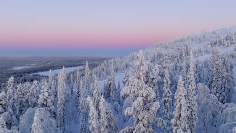 aerial view over frosty forest, toward the slopes of salla, polar night in finland