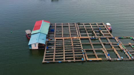 a thriving aquaculture fish farm, with traditional cages and nets teeming with marine life, connected by wooden walkways floating on the calm waters, aerial views