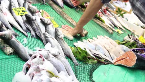 魚屋のカウンターにある新鮮な海魚 1