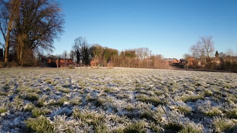 Fpv,-Der-Während-Des-Glühenden-Sonnenaufgangs-über-Die-Sonnendurchflutete-Waldwiese-Des-Verschneiten-Winters-Fliegt