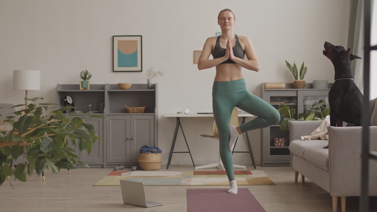 Dog Barking when Woman Doing Yoga