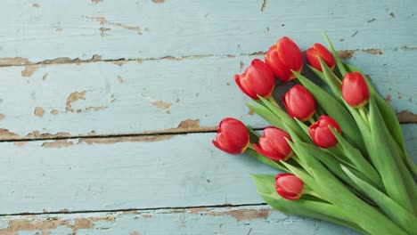 Ramo-De-Tulipanes-Rojos-Sobre-Fondo-De-Madera-En-El-Día-De-San-Valentín