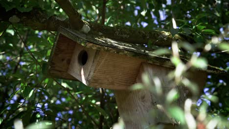 Custom-and-unique-nesting-box-for-small-bird-species