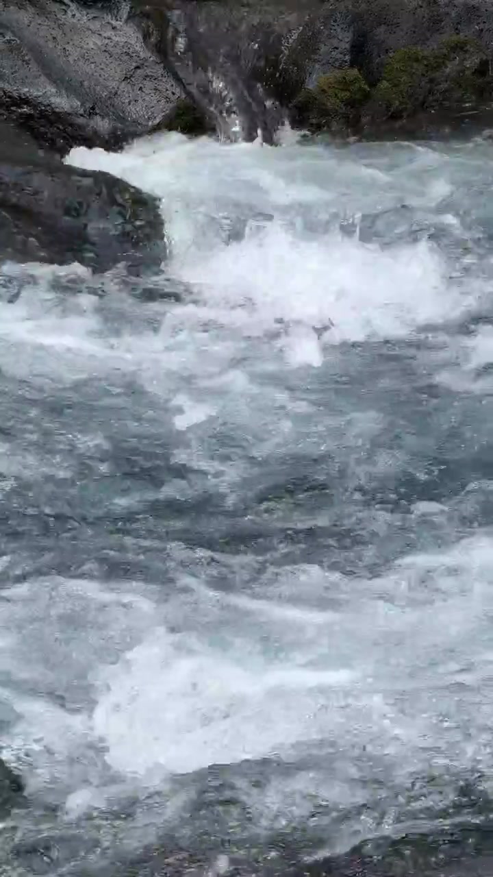 Ruscello di montagna impetuoso su rocce.