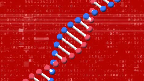 Animación-De-La-Cadena-De-ADN-Girando-Con-Fallas-Y-Procesamiento-De-Datos-De-Codificación-Binaria.