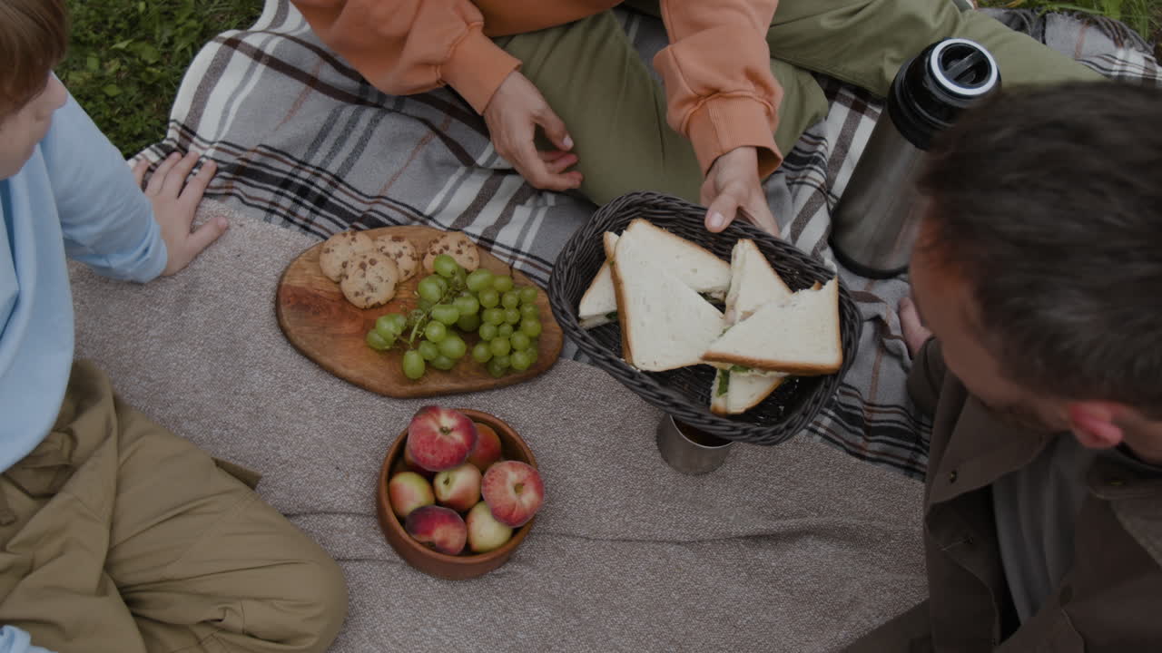 семейный пикник