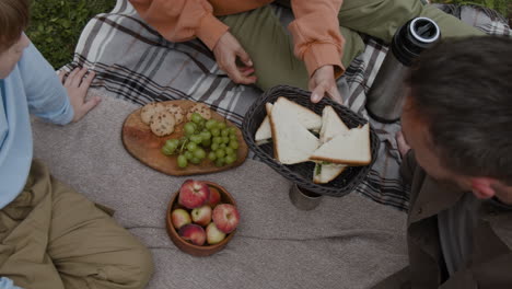 picnic familiar