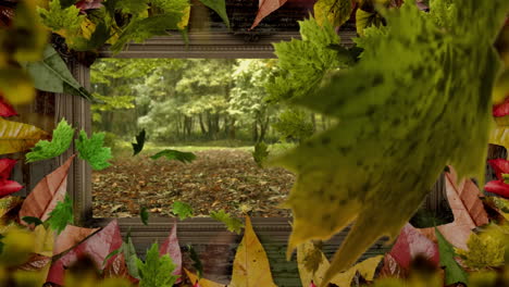 animation of forest and falling leaves in leaf frame