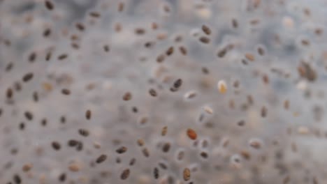 chia seeds blending and rotating in water close-up macro black background. dry healthy ingredient. healthy superfood rich in omega 3 fatty acids. salvia hispanica