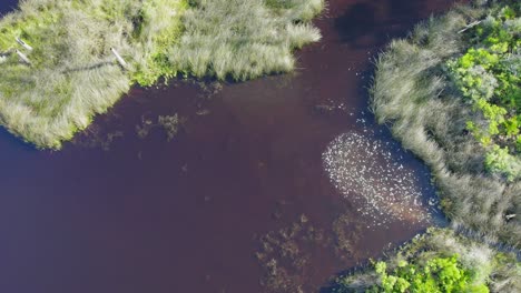 Antena-Que-Muestra-Una-Escorrentía-De-Agua-De-Lluvia-En-Una-Bahía-De-Agua-Del-Golfo-De-Florida