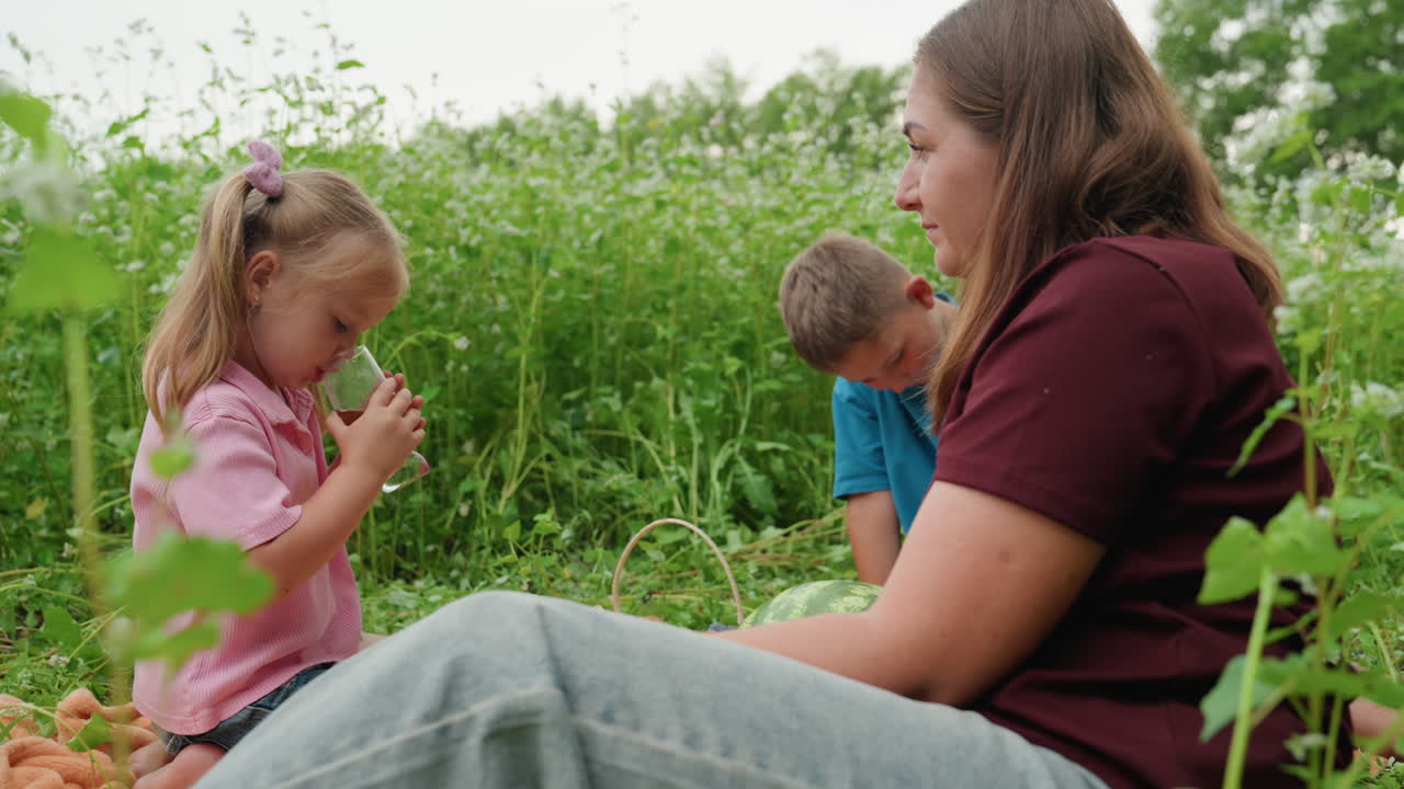 하얀 피부의 소녀가 부드러운 초원 풍경 속에서 엄마 옆에서 주스를 마시고 있고, 어린 남자아이는 키 큰 풀 뒤에서 몰래 쳐다보고 있어요. 엄마는 부드럽게 아이를 인도하고 있고, 과일이 담긴 버드나무 바구니와 따뜻한 햇살과 바람, 친밀한 분위기가 느껴져요.
