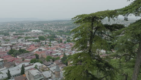 Aerial-dolly-in-shot-from-behind-the-trees,-revealing-the-Tbilisi-cityscape