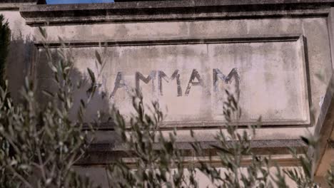 Inscription-on-historical-stones-of-the-word-"Hammam",-in-the-foreground-an-olive-tree