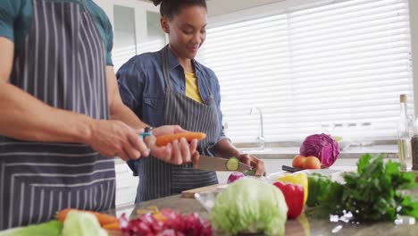 Video-De-Manos-De-Una-Pareja-Diversa-Preparando-Comida,-Cortando-Verduras-En-La-Cocina