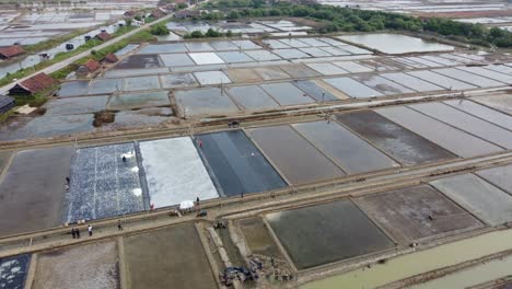 Panning-Aerial-drone-view-of-the-vast-expanse-of-salt-ponds-at-seaside-area-in-Jepara,-Central-Java,-Indonesia