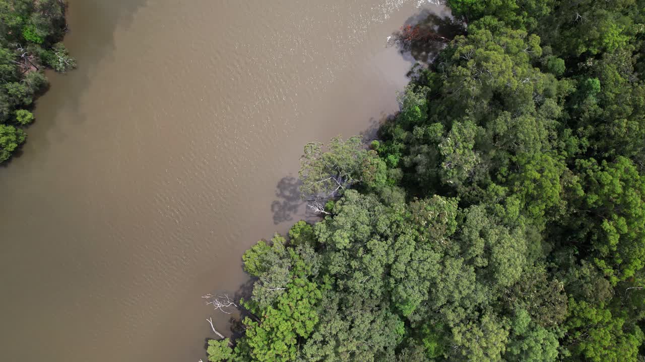 Top View Of Brunswick River In New South Wales, Australia - Murky Waters With Lush Dense Forest. aerial shot