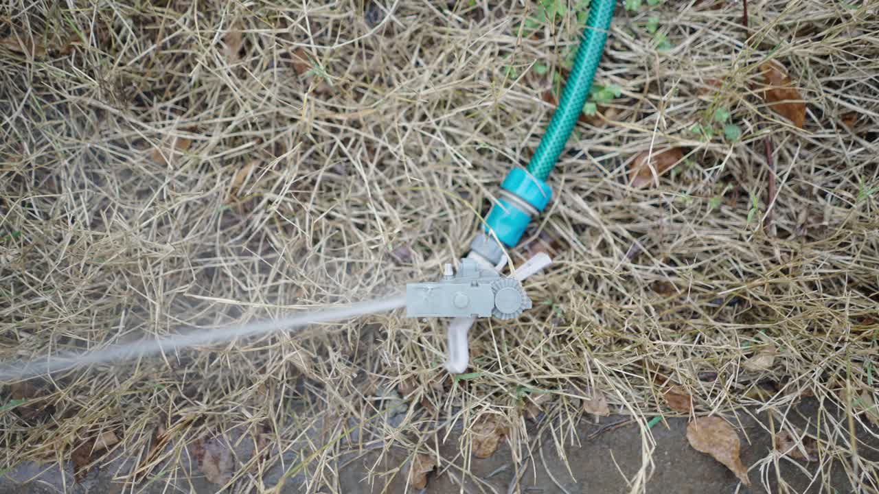 Garden sprinkler watering dry grass