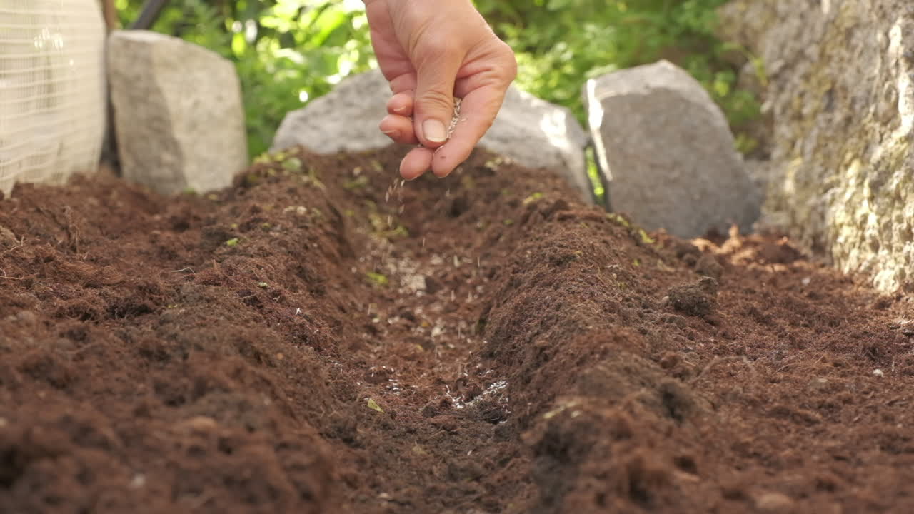 Agricoltore che semina in una coltivazione agricola biologica