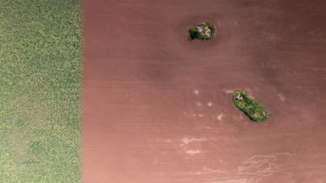 aerial top down long term timelapse wipe, food crops grow from tillage