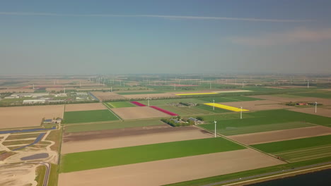 Aerial drone shot of the flat landscape full of farm fields and wind turbines in the Netherlands. An eco-friendly landscape is full of wind turbines in the Netherlands.