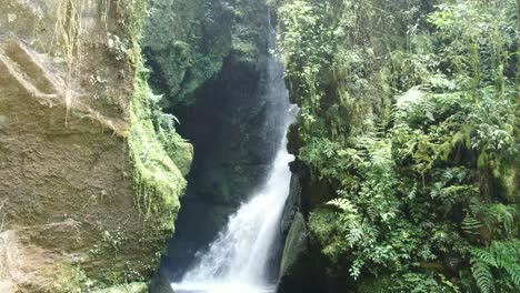 beautiful waterfall in green forest and vegetation