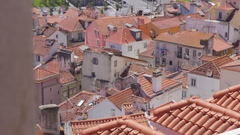 a zoomed in shot of lisbon's rooftops of alfama district with birds flying over the roofs