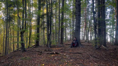 male person sitting near a tree in a peaceful forest, contemplating and reflecting in a serene natural setting