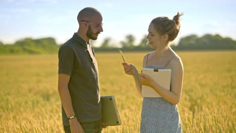 agro researchers analyzing wheat ear. agriculture scientist working in field