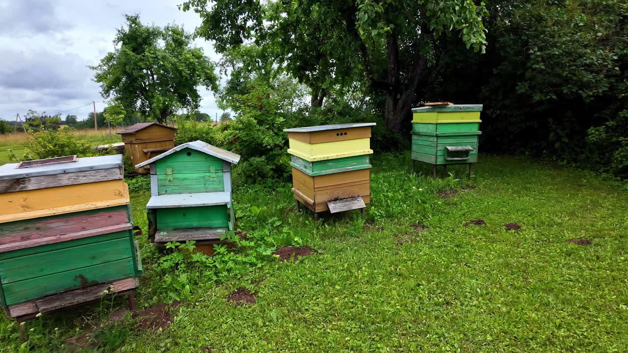 colmenas coloridas en el jardín, apicultura para la miel, vista en cámara lenta, copia de espacio