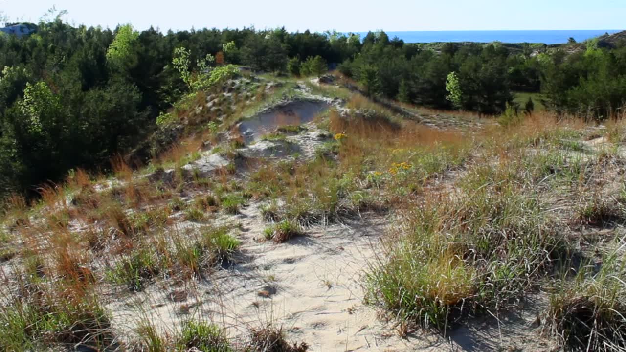 Sand dune with dry grass overlooks forest and distant Lake Michigan at Indiana Dunes National Park, USA