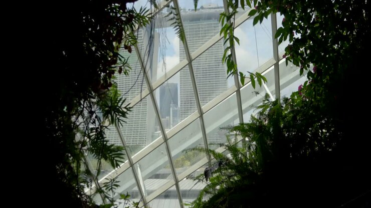 Vista dalla finestra dell'hotel Marina Bay Sands e del Supertree Grove dai Gardens by the Bay, Singapore.