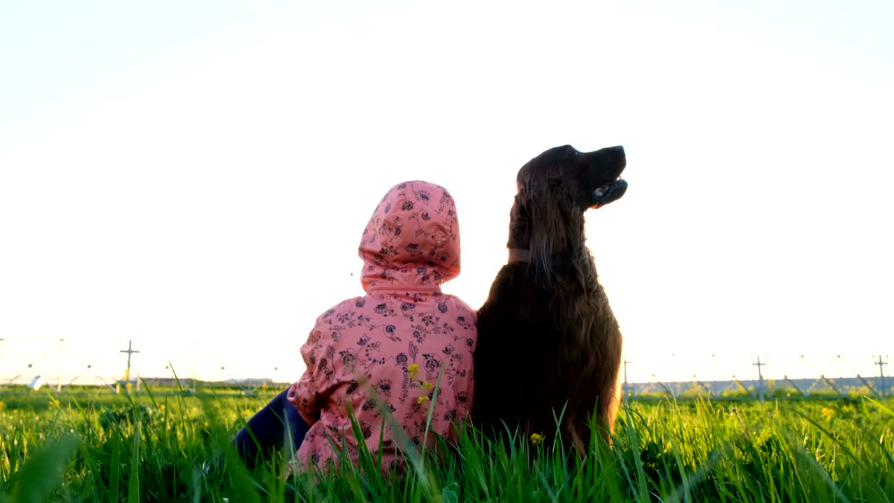 순종하는 개는 여름에 해가 지는 동안 여성의 주인과 함께 풀에 앉아있다. 아일랜드 세터는 가장 친한 친구입니다.