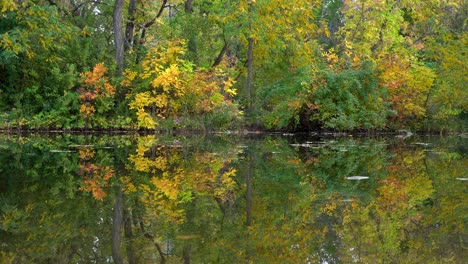 Reflejo-De-Los-Colores-Del-Otoño-Sobre-La-Superficie-Del-Agua