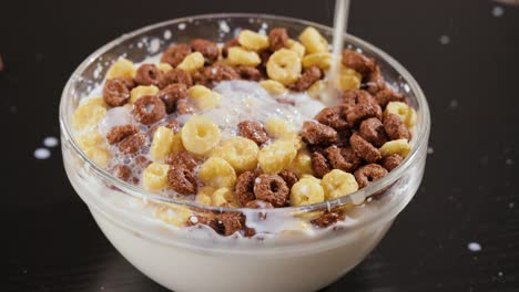 breakfast chocolate corn cereal in a bowl with milk.