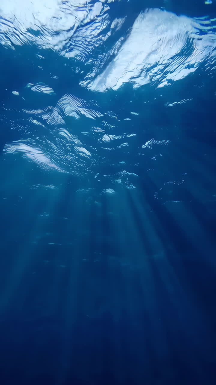 escenas bajo el agua