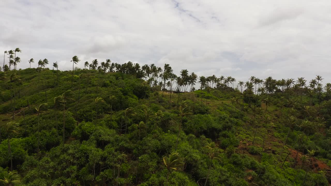 costa y el océano en la isla de sri lanka.