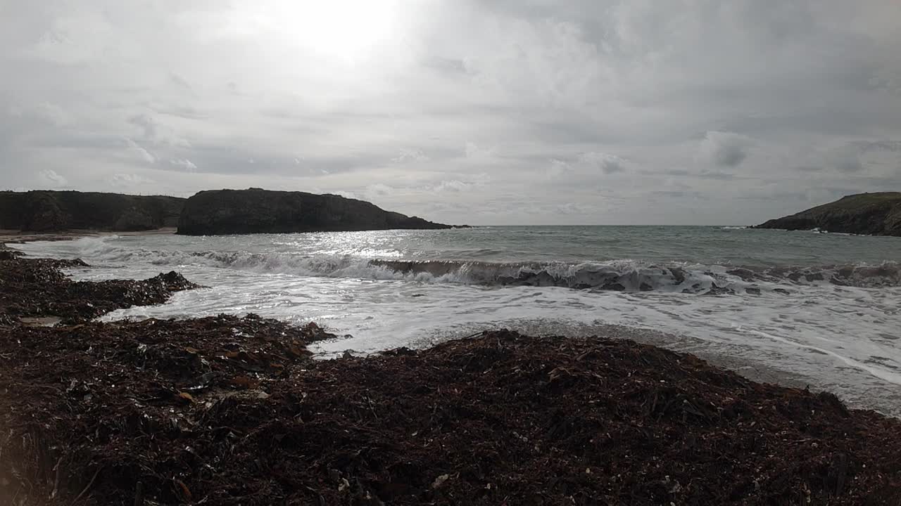 수평선에 섬이 있는 해초로 뒤덮인 해변 모래 위로 씻는 슬로우 모션 반짝이는 파도